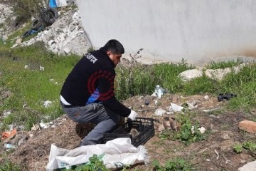 11 yavru k&ouml;pek &ouml;l&uuml;me terk edildi: Ağzı bağlı &ccedil;uvaldan &ccedil;ıktılar