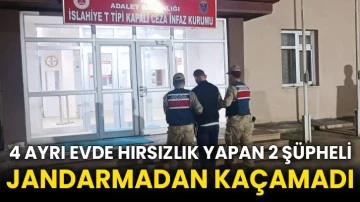 4 ayrı evde hırsızlık yapan 2 şüpheli jandarmadan kaçamadı