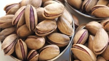 450 liradan 600 liraya y&uuml;kseldi! Antep fıstığı yatırım aracı oldu