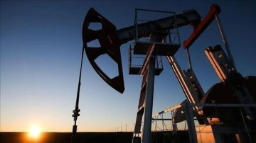 ABD, stratejik petrol rezervi için 6 milyon varil petrol satın alacak