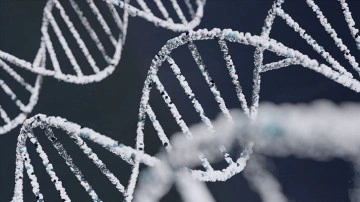 ABD'deki çalışmaya göre, ayak izi veya nefesten insan DNA'sı tespit edilebiliyor