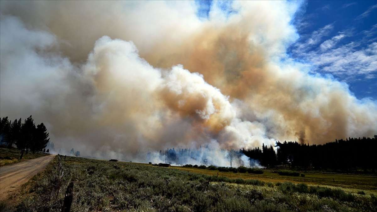 ABD'nin California eyaletinde orman yangınları devam ediyor
