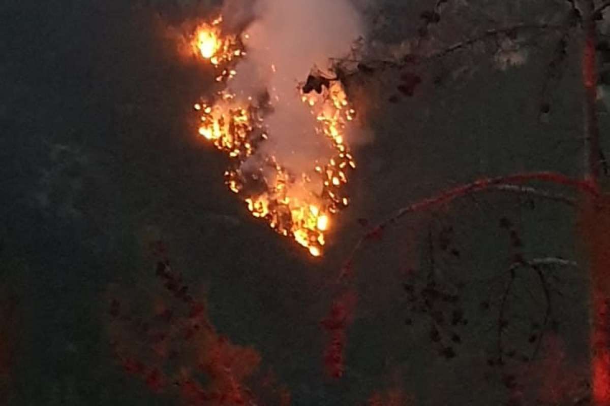 Adana Saimbeyli'de düşen yıldırım 3 kişiyi yaralandı, ormanda yangın çıktı
