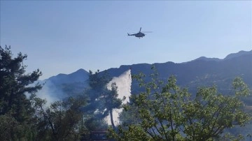 Adana'da çıkan orman yangını söndürüldü