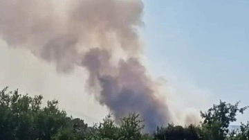 Adana'da orman yangını! Çok sayıda ekip müdahale ediyor