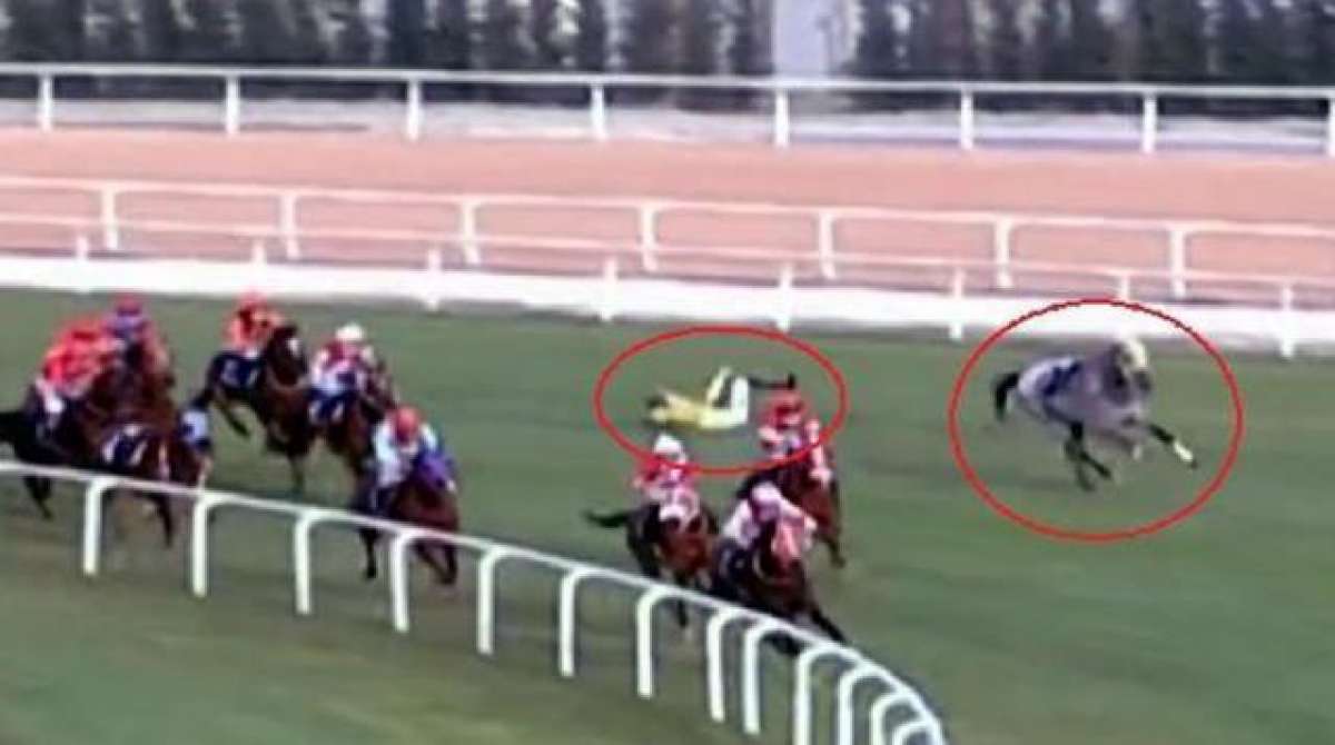 Adanadaki at yarışı kazalarıyla ilgili araştırma başlatıldı