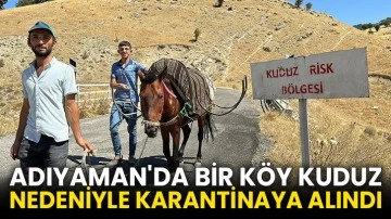 Adıyaman'da bir köy kuduz nedeniyle karantinaya alındı