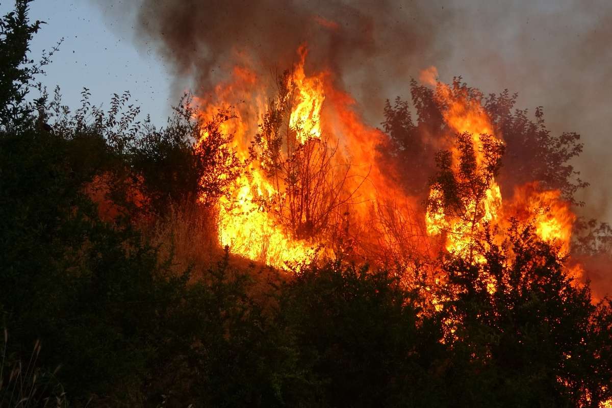Adıyaman'da korkutan bahçe yangını