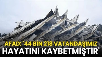 AFAD: '44 bin 218 vatandaşımız hayatını kaybetmiştir'