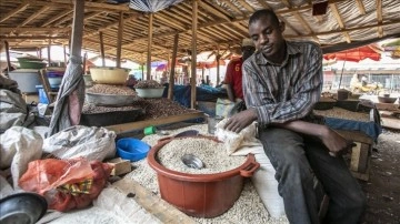 Afrika'ya gıda egemenliği i&ccedil;in 30 milyar dolar finansman sağlanacak