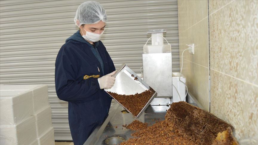 Afyonkarahisar’da bal peteklerinden üretilen ’arı ekmeği’ talep görüyor