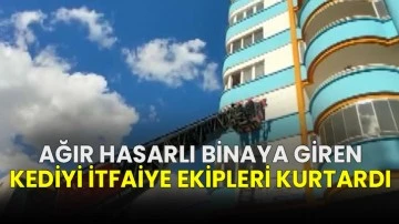 Ağır Hasarlı Binaya Giren Kediyi İtfaiye Ekipleri Kurtardı