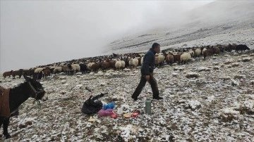 Ağrı'da etkili olan kar ve siste çobanların zorlu mesaisi sürüyor