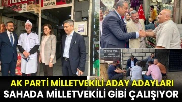 Ak Parti Milletvekili Aday Adayları Sahada Milletvekili Gibi Çalışıyor 
