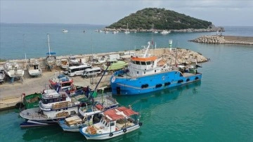 "Akdeniz Araştırma 1" gemisi, Lübnan kara sularındaki balık ekosistemini araştırdı