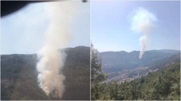 Alanya'da çıkan orman yangınına havadan ve karadan müdahale ediliyor