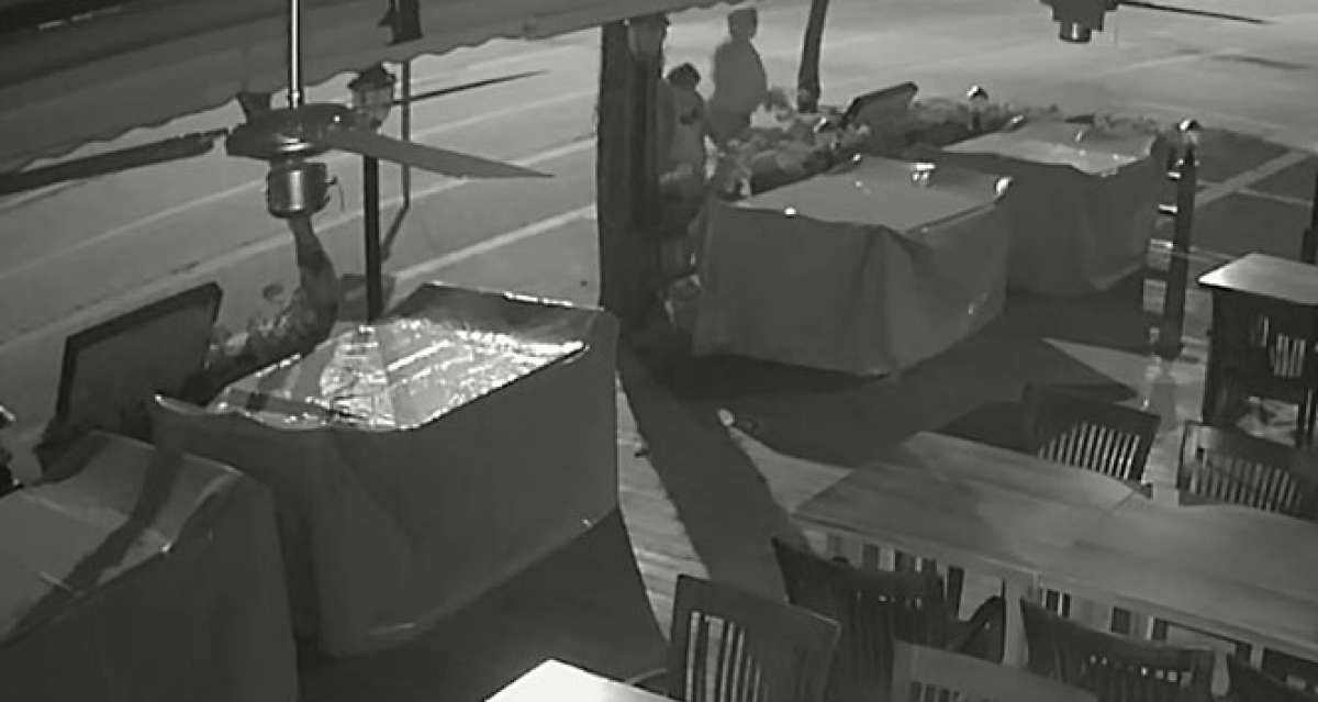 Alanya'da restoran önünden çiçek hırsızlığı kamerada