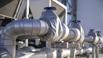 Almanya ve Avusturya'dan Rusya'nın doğal gazda yeni ödeme sistemine 'yeşil ışık'