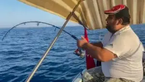 Amatör balıkçı, oltayla 30 kiloluk kuzu balığı yakaladı! Tekneye çıkarması yarım saat sürdü