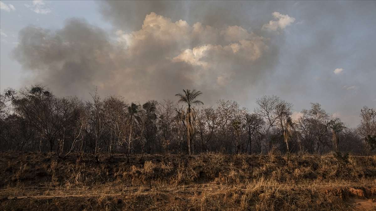 Amazon Ormanları'nda 2007'den bu yana en fazla orman yangını haziran ayında görüldü