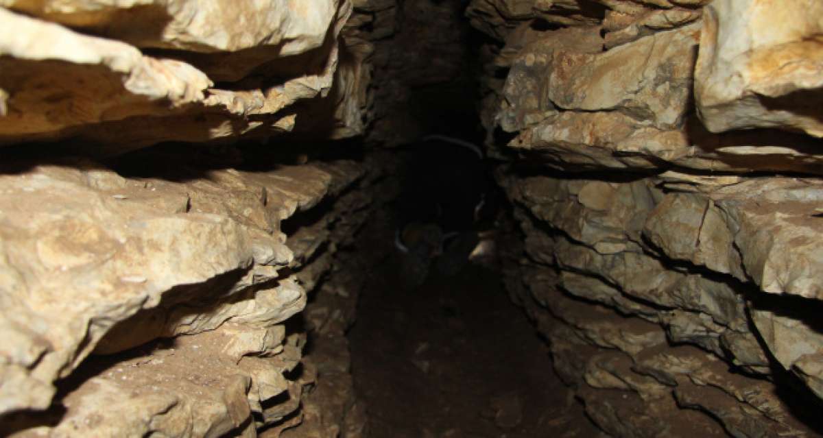 Anadolu tarihine ışık tutacak keşif mağarada bulundu