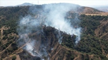 Ankara Çubuk'ta çıkan orman yangını kontrol altına alındı