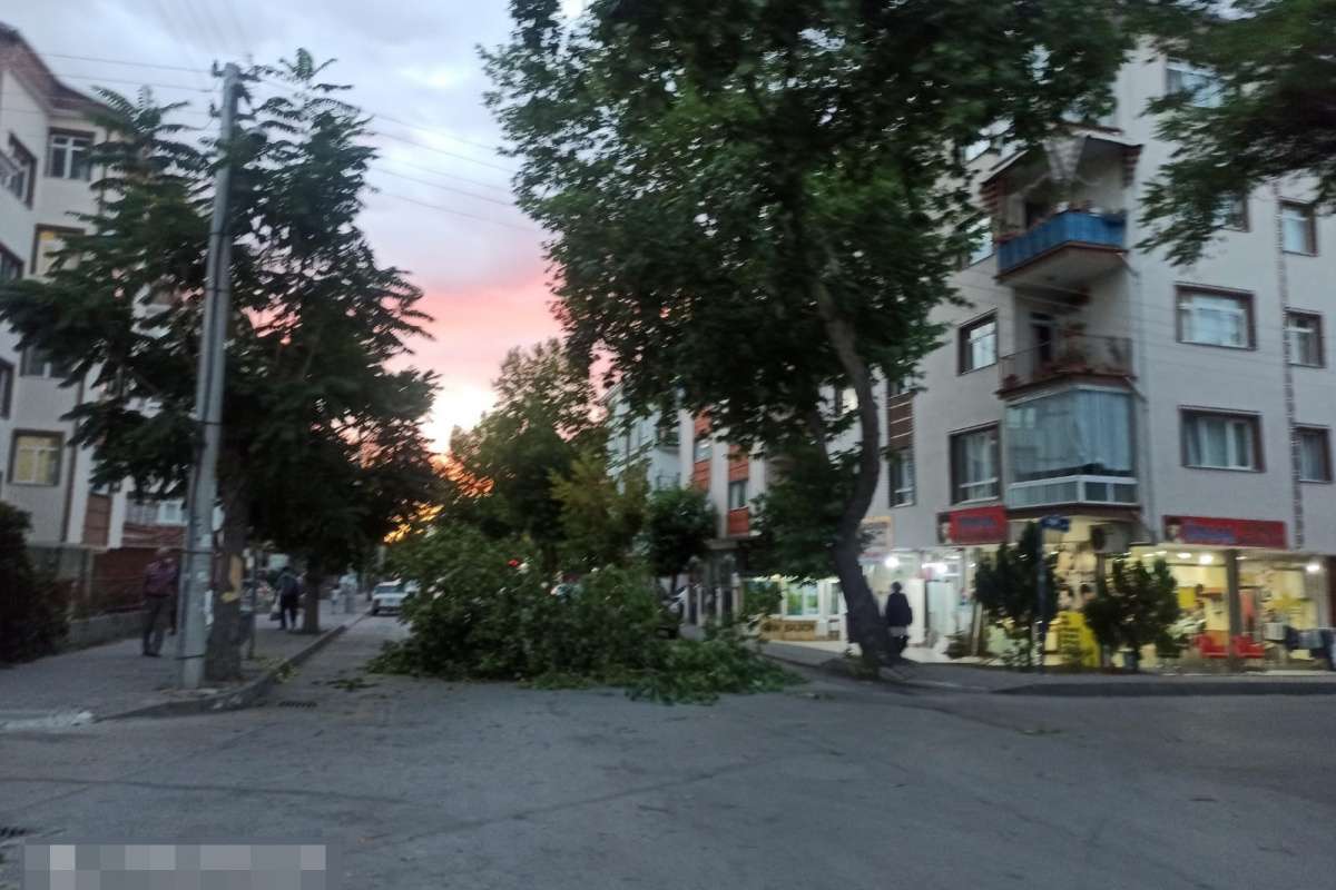 Ankara'da şiddetli rüzgar ağaçların dallarını kırdı