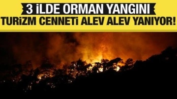 Antalya, Kahramanmaraş ve Manisa'da orman yangını!