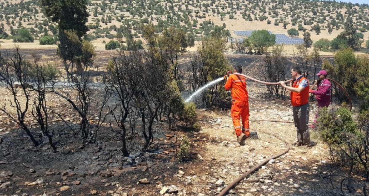 Antalya'da arazi yangınında 60 dekar ekili alan zarar gördü