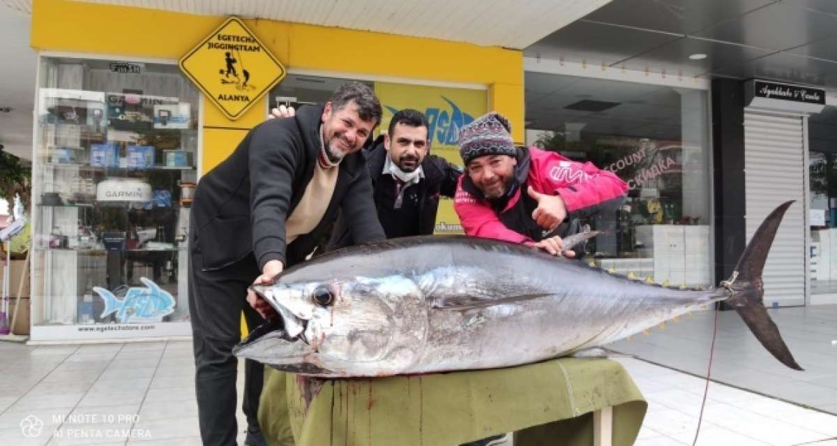 Antalya'da balıkçının oltasına 85 kiloluk orkinos takıldı