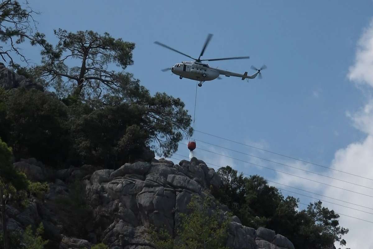 Antalya'da çıkan orman yangınında 1 dekarlık alan zarar gördü