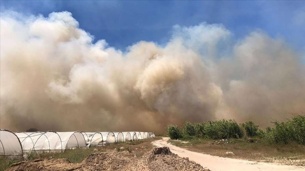 Antalya'da sazlık alanda çıkan yangın kontrol altına alınmaya çalışılıyor