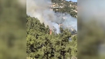 Antalya'nın Kaş ilçesinde orman yangını çıktı