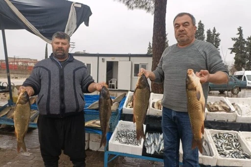 Araban&rsquo;da soğuk hava balığa talebi artırdı