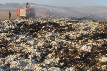 Araban Ovası’nda hasadı yapılmış 90 ton pamuk yandı
