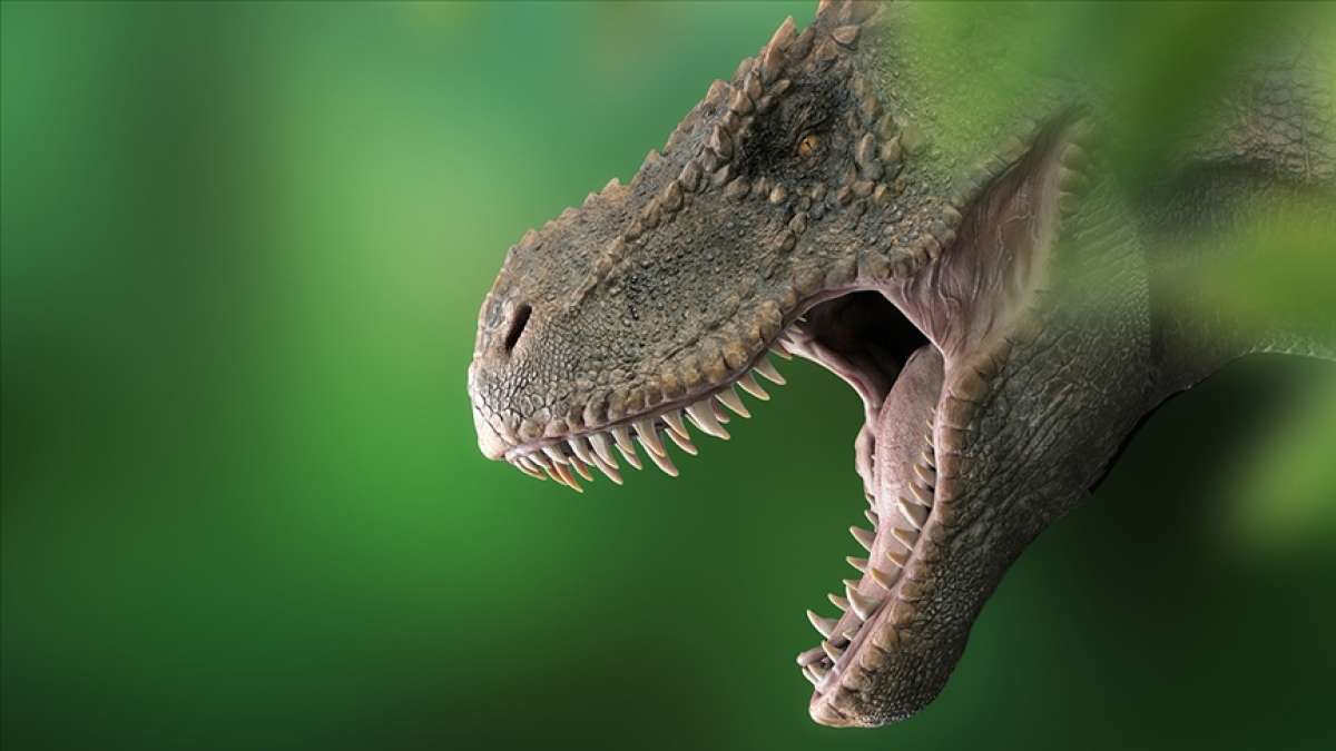 Araştırmaya göre dünyada 2,5 milyar T-rex dinozor türü yaşamış olduğu tahmin ediliyor