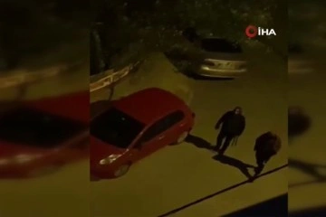 Arnavutköy’de Salvador Dali maskeli hırsızlar mahalle sakinlerini isyan ettirdi
