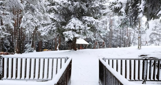 Artvin'de kar yağışı nedeniyle 29 köy yolu ulaşıma kapandı