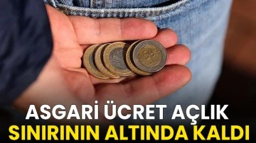Asgari &uuml;cret a&ccedil;lık sınırının altında kaldı