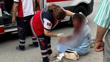 Ataşehir'de kadına saldıran köpeğin sahibi adliyeye gönderildi