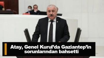 Atay, Genel Kurul’da Gaziantep’in sorunlarından bahsetti