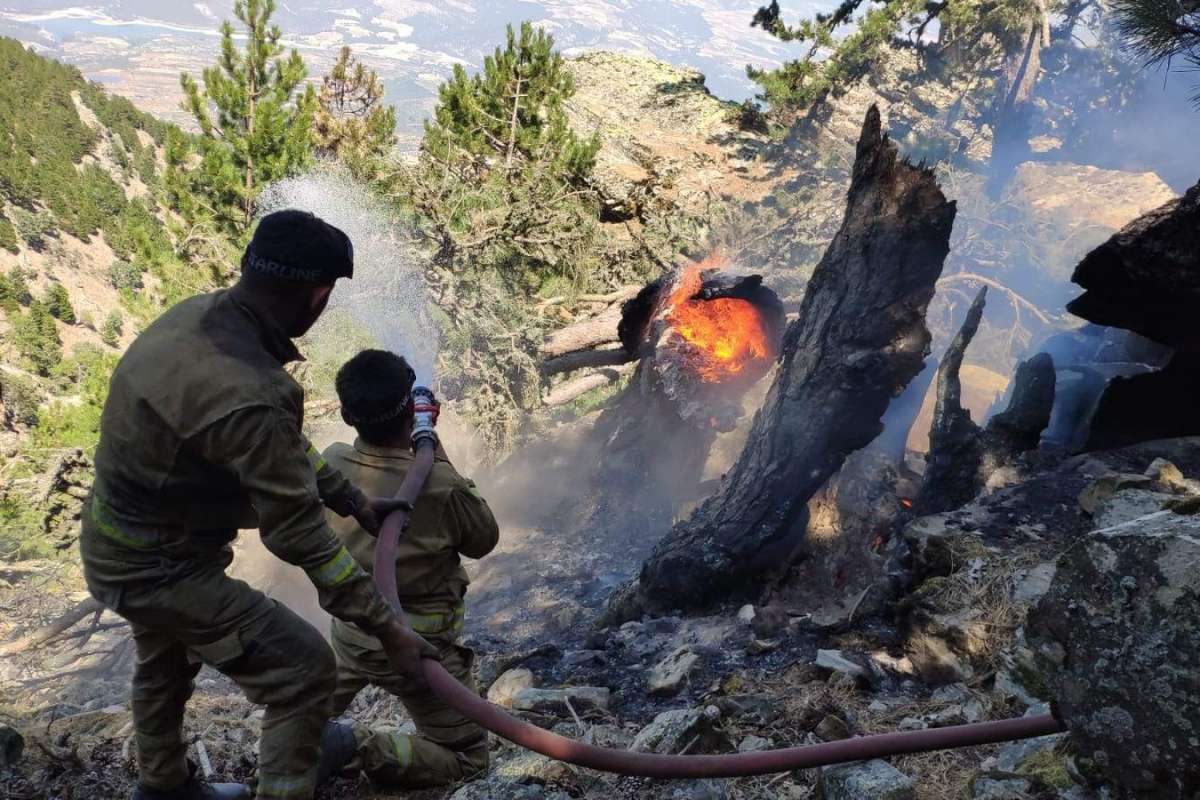 Aydın Karacasu'daki yangında ekiplerin çalışması sürüyor