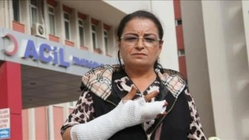 Aydın'da tasmasız gezdirilen köpeğin saldırdığı kadın yaralandı