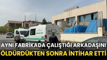 Aynı fabrikada çalıştığı arkadaşını öldürdükten sonra intihar etti