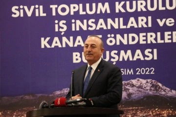 Bakan Çavuşoğlu: 'Uluslararası sistemin de ayakta durmasına katkı sağlıyoruz'