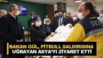 Bakan Gül, Pitbull Saldırısına Uğrayan Asya’yı Ziyaret Etti