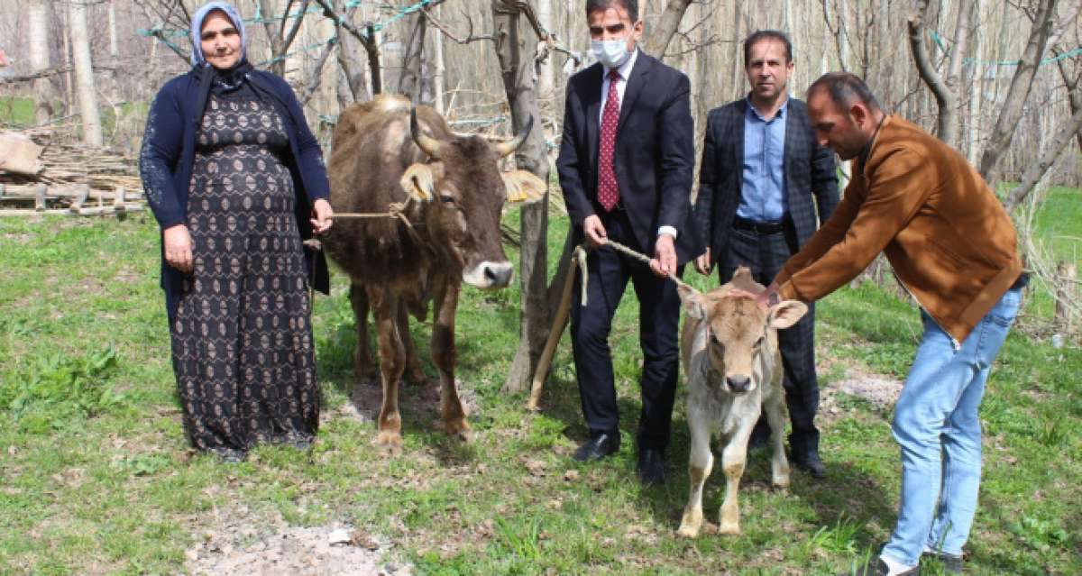 Bakan Pakdemirli'den, Diyarbakır annesine inek ve buzağı