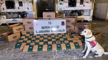 Bakan Soylu: Mersin Limanı'nda 258 kilogram kokain yakalandı