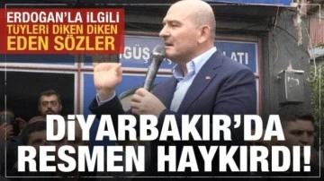 Bakan Soylu'dan Diyarbakır'da Erdoğan'la ilgili tüyleri diken diken eden sözler