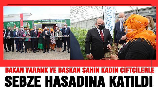 Bakan Varank Ve Başkan Şahin kadın çiftçilerle sebze hasadına katıldı 